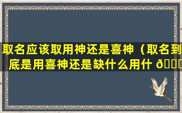 取名应该取用神还是喜神（取名到底是用喜神还是缺什么用什 🐕 么）